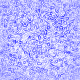 blau012.gif