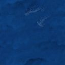 blau0552.jpg