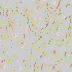 beige017.gif