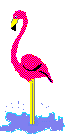 flamingo05.gif