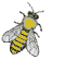 abeilles-34.gif