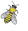 abeilles-50.gif