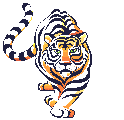 tiger08.gif