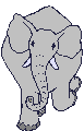 elephants-04.gif