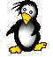 pingouins-05.gif