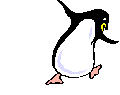 pingouins-09.gif