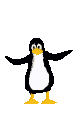 pinguin12.gif