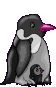 pinguin40.gif