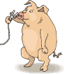 cochons-40.gif