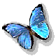 papillons-09.gif