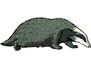 badger.gif