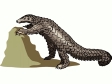 pangolin.gif