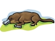 platypus3.gif