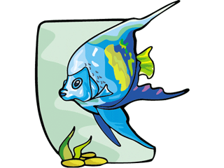 angelfish2.gif