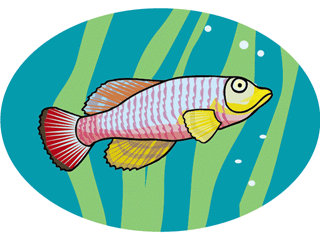 aquariumfish4.gif