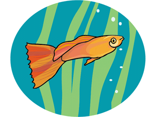 aquariumfish7.gif