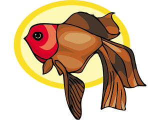 fish113.gif