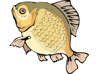 fish244.gif
