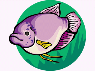 fish246.gif