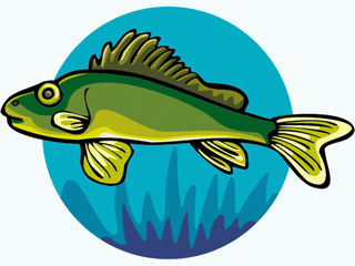 fish249.gif