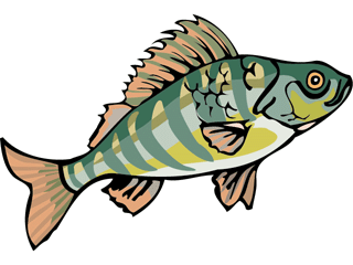 fish250.gif