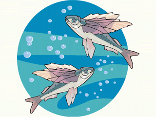 fish60.gif