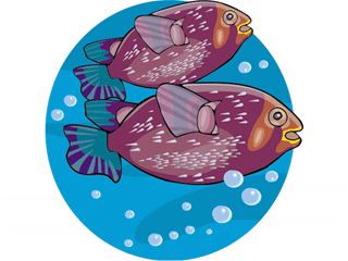 fish65.gif