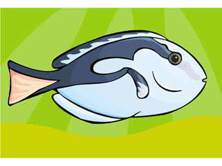 surgeonfish.gif