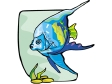 angelfish2.gif
