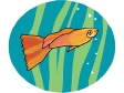 aquariumfish7.gif
