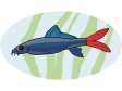 aquariumfish9.gif