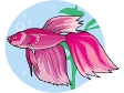 fish218.gif