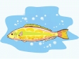 fish236.gif