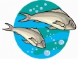 fish54.gif