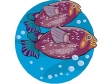 fish65.gif