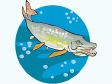 fish67.gif