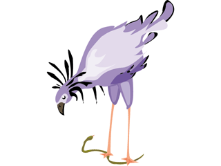 bird23.gif