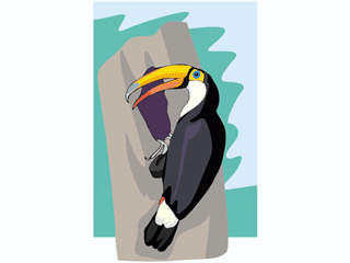 bird56.gif