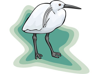 egret.gif