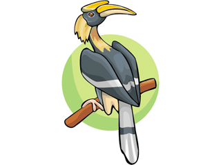 hornbill.gif