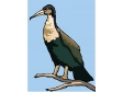 bird30.gif