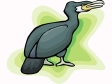 cormorant.gif