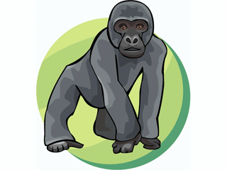 gorilla.gif