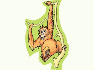 monkey10.gif