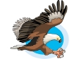 eagle4.gif