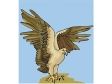 eagle6.gif