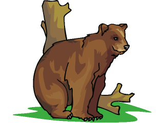 bear1.gif