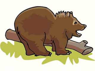 bear11.gif