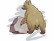 bear10.gif