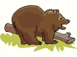 bear11.gif